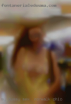 My pussy stays wet and I want sex in Norwalk, Ohio big dick.